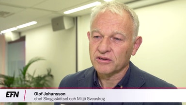 EU:s klimatmål oroar skogsindustrin