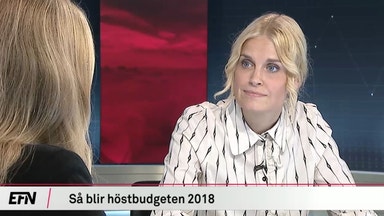 Chefekonom: Budgeten kan leda till överhettning