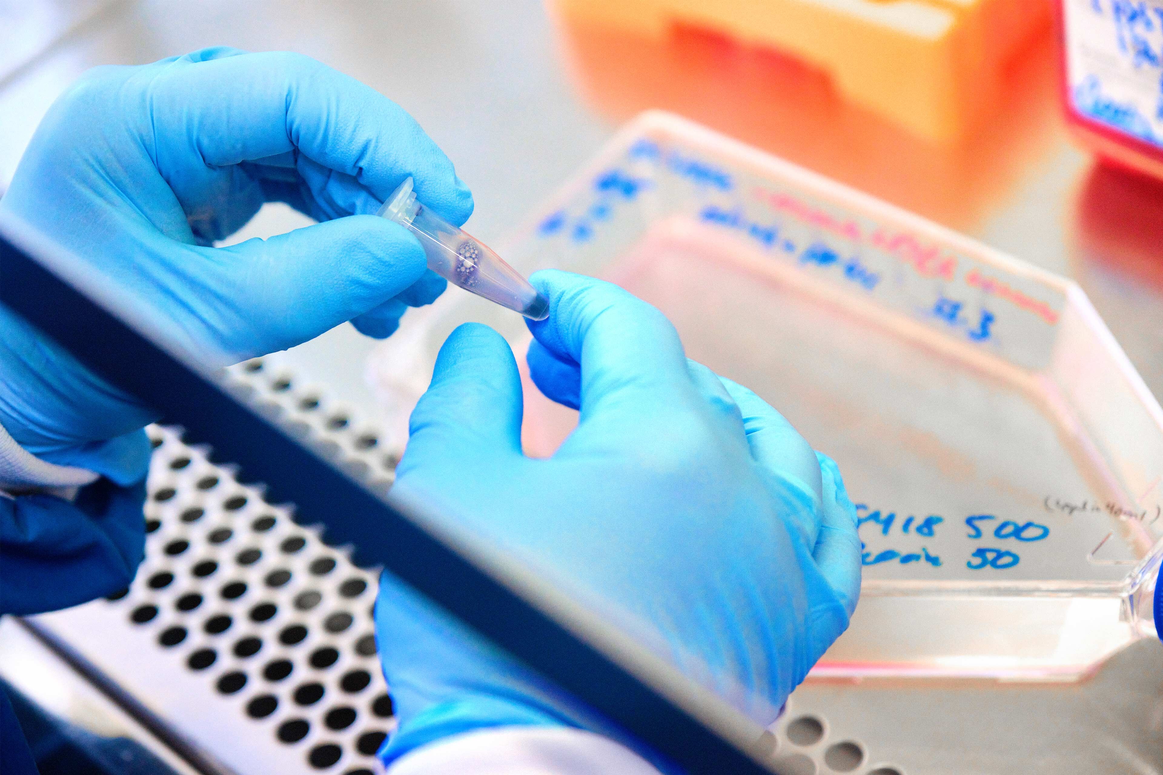 Laboratoriearbetare i blå handskar hanterar ett litet provrör i en vetenskaplig miljö.