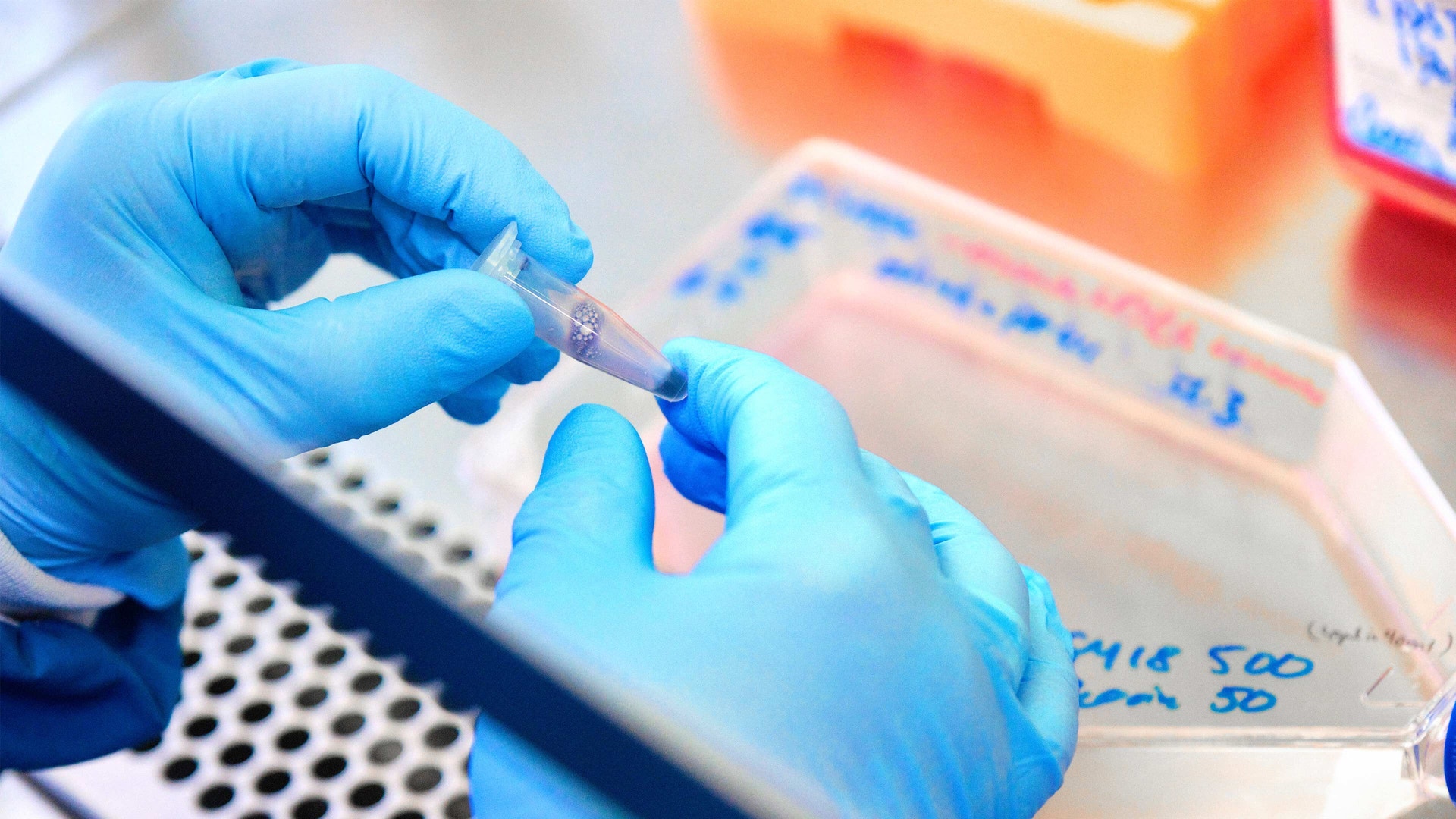 Laboratoriearbetare i blå handskar hanterar ett litet provrör i en vetenskaplig miljö.