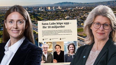 Hotet mot svenska AI-undret: ”Nagla fast bolagen”