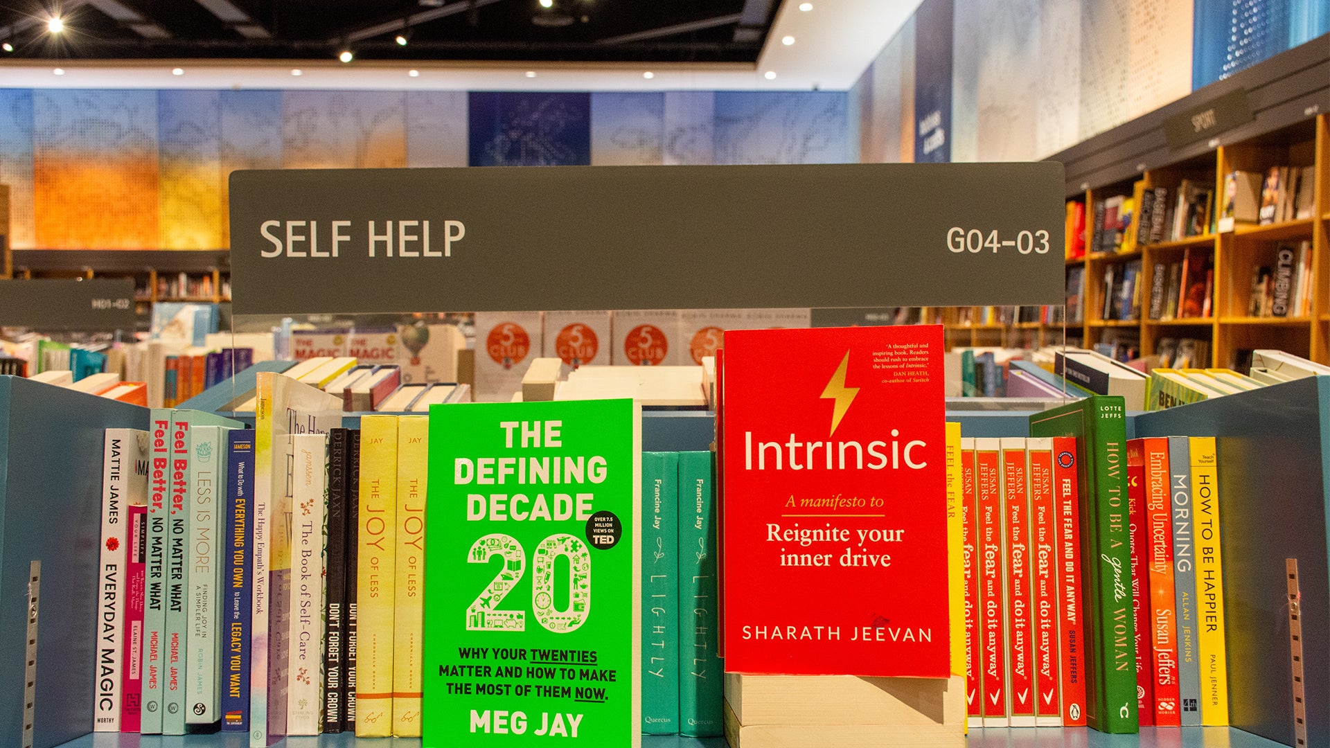 Bokhylla i en biblioteks självhjälpssektion med böcker ordnade på hyllor. I förgrunden syns två framträdande böcker: en grön bok med titeln "The Defining Decade" och en röd bok med titeln "Intrinsic".