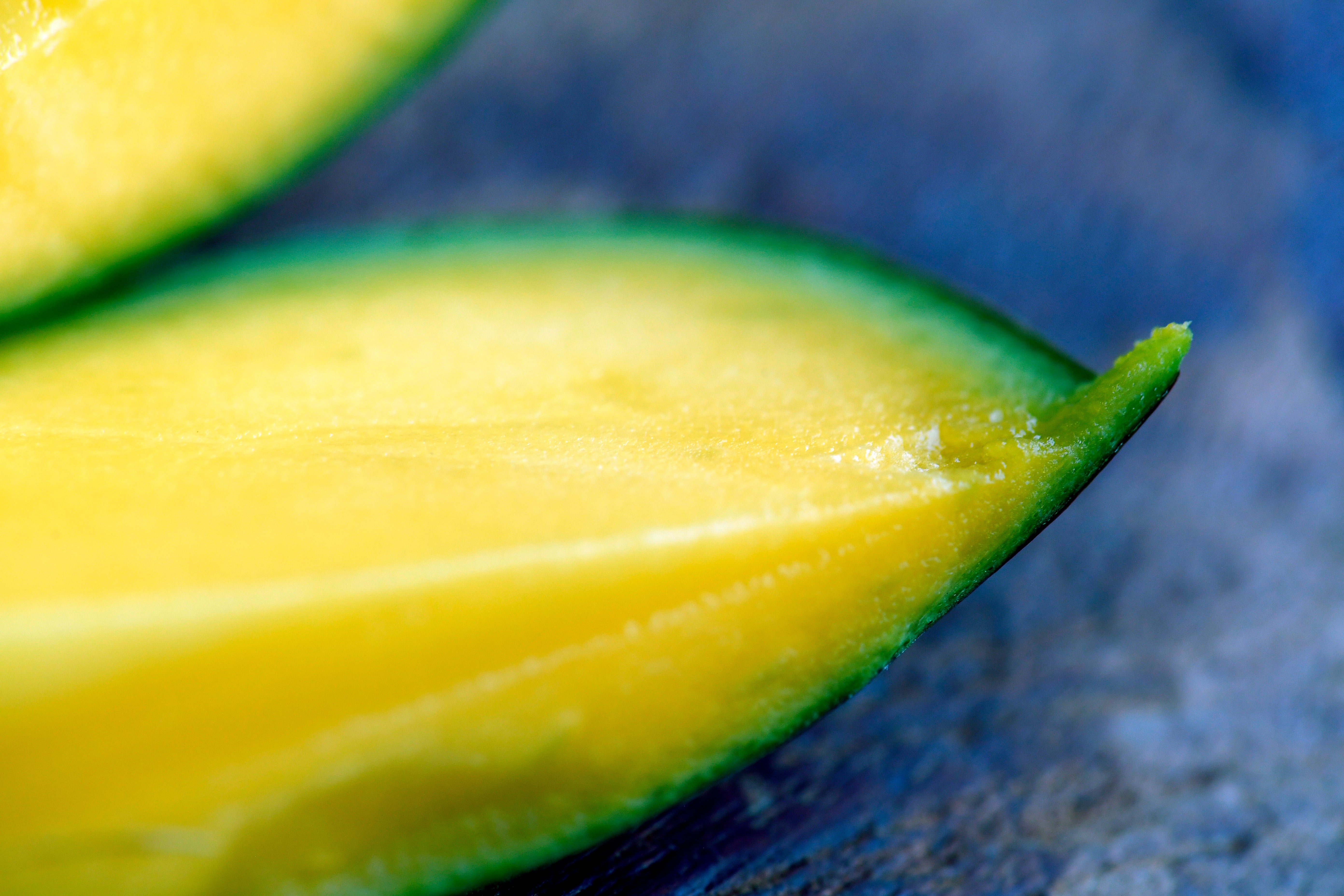 Närbild av en gul mango med grön skala på blå bakgrund
