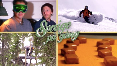 Så startar du en chokladfabrik