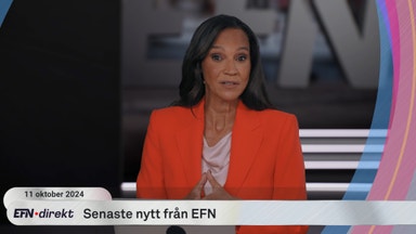 Fokus på USA: Bankrapporter, Blackrock och Tesla