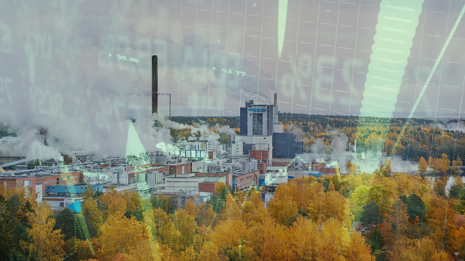 Url Hittas Rp Proffsens prognos: Här hittas börsvinnarna 2026 | EFN.se