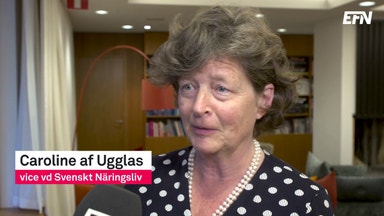 "Företagen behöver bra konkurrenskraft"