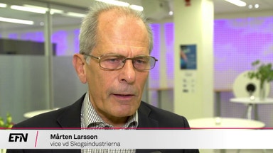 EU-regler kan fälla tillväxten i skogen