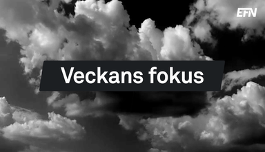Veckans fokus