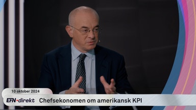 Toppekonomen: ”Jag är ingen fantast av Fed-chefen.”