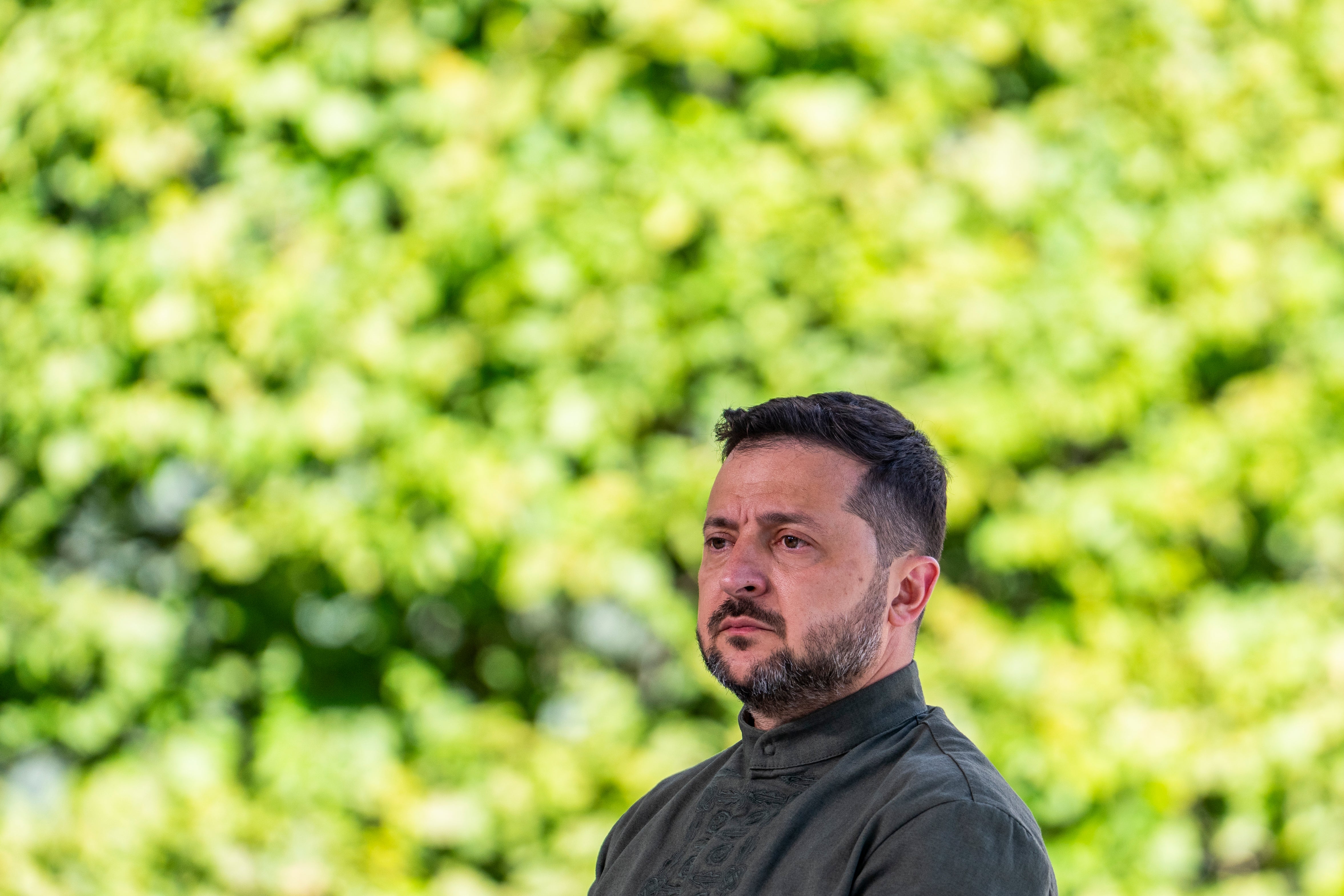 Zelenskyj, en man med kort mörkt hår och skägg, i mörkgrön tröja framför grön lövvägg.