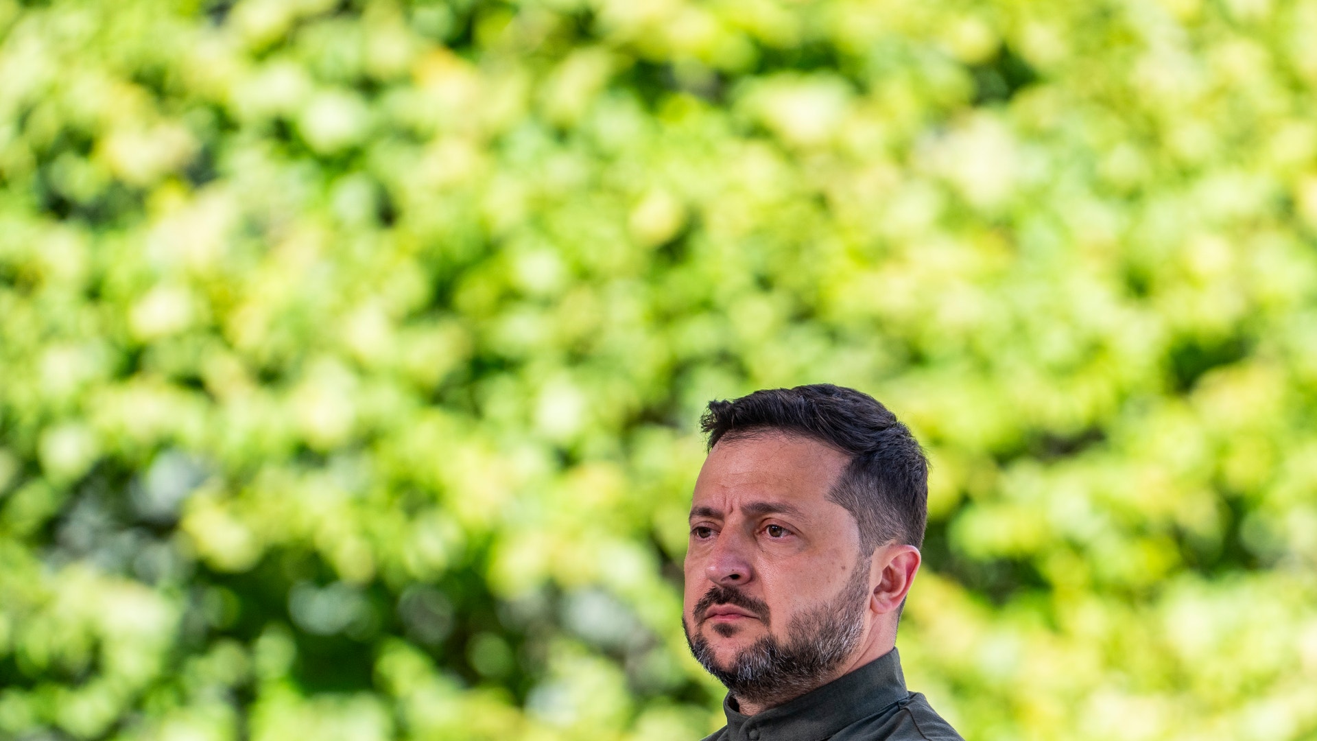 Zelenskyj, en man med kort mörkt hår och skägg, i mörkgrön tröja framför grön lövvägg.