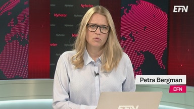 Frågorna vi borde diskutera inför EU-valet