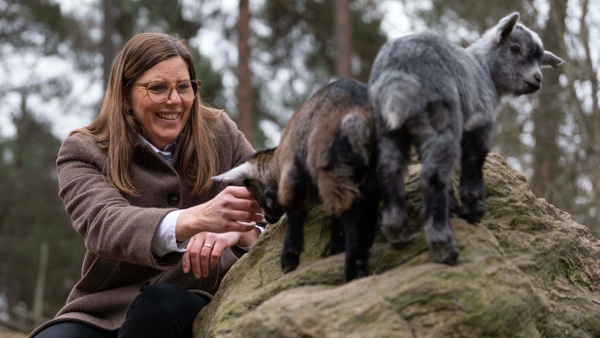 En kvinna som smeker getter på en mossig sten med skog i bakgrunden.