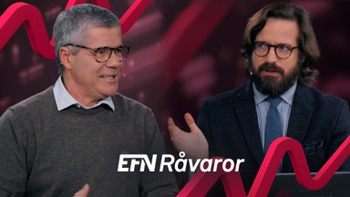 Fisken i Östersjön en bortslösad proteinreserv