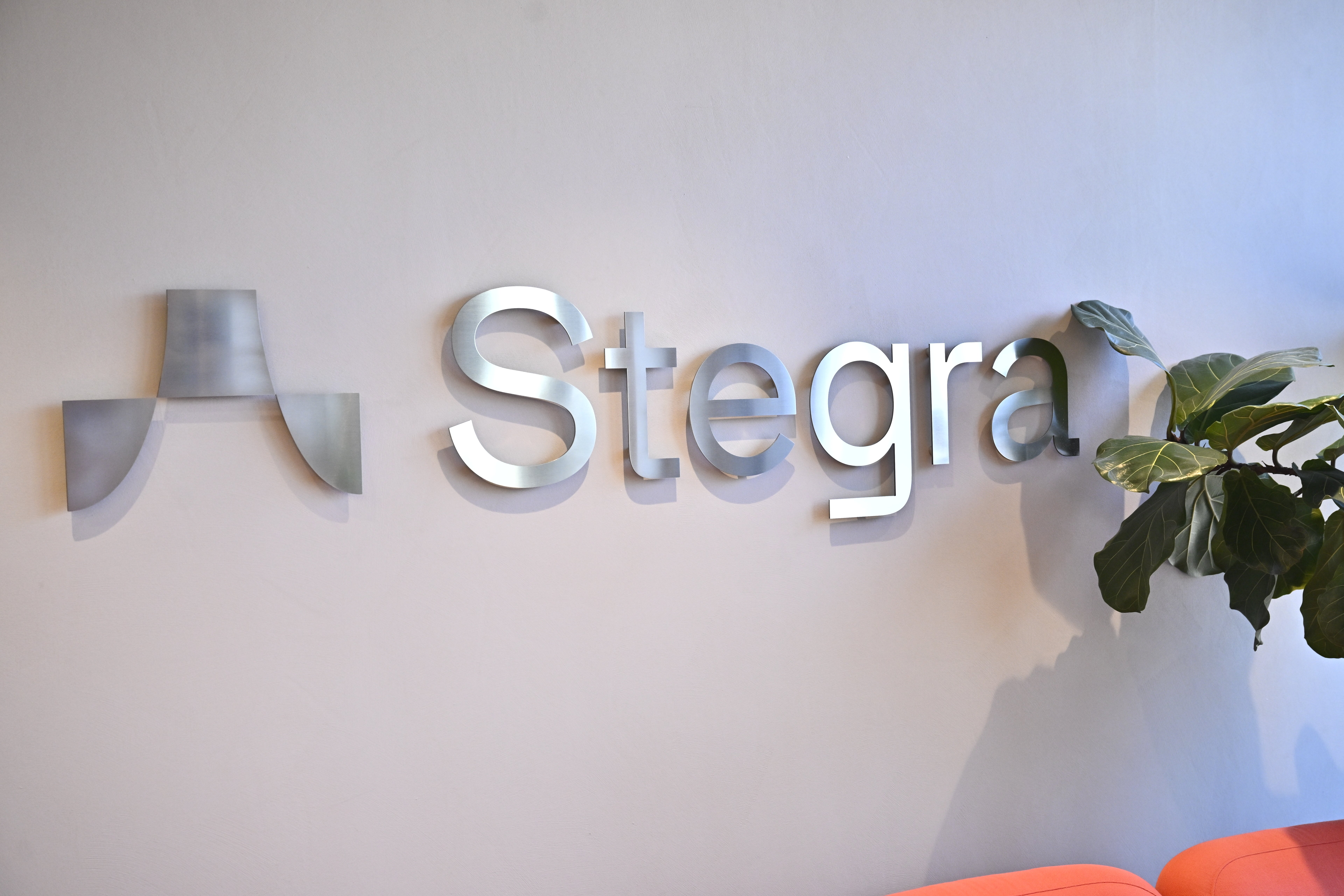 Företagets logotyp och namnet Stegra i metallbokstäver på en ljus vägg, med en grön växt till höger.