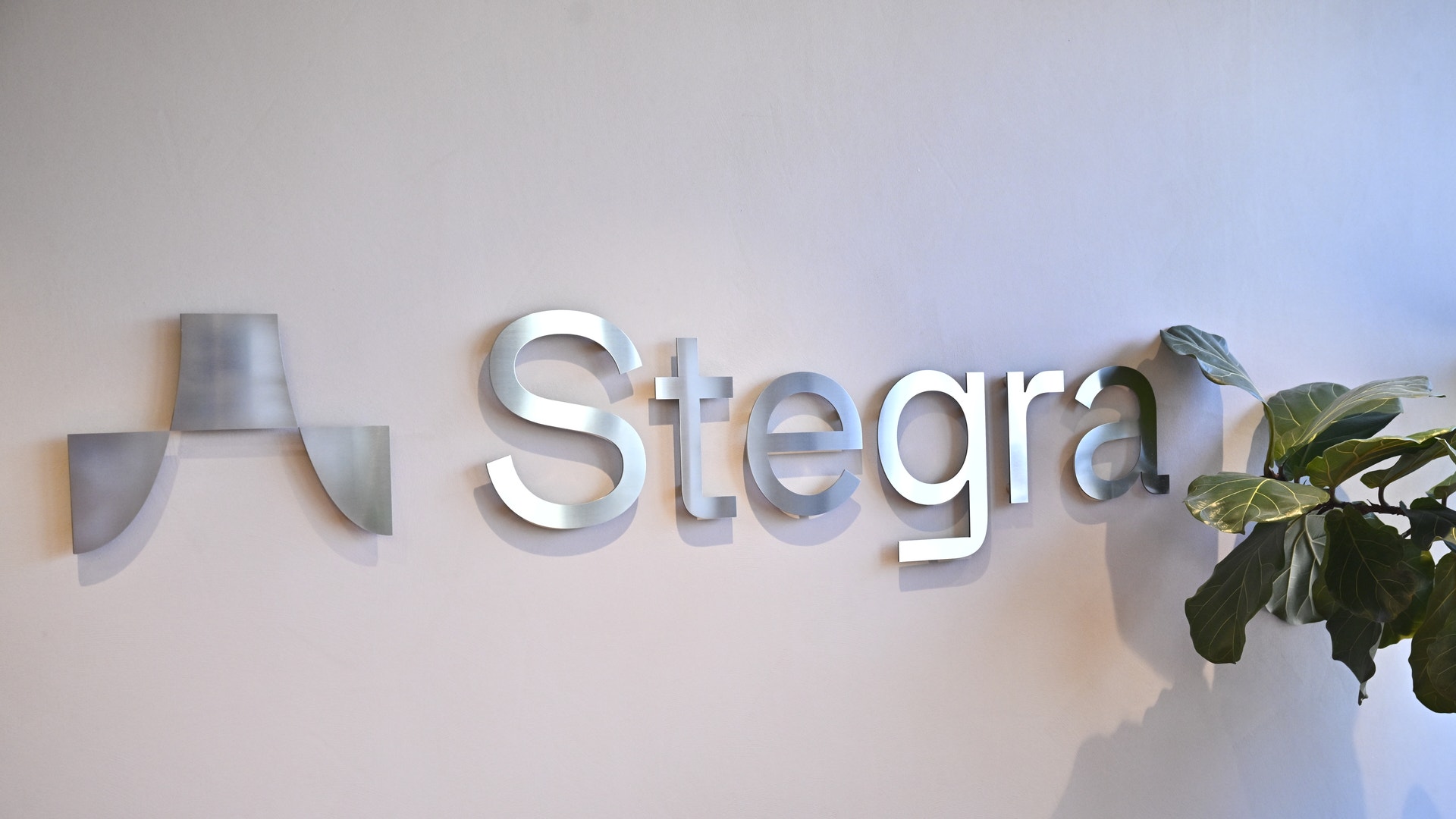 Företagets logotyp och namnet Stegra i metallbokstäver på en ljus vägg, med en grön växt till höger.