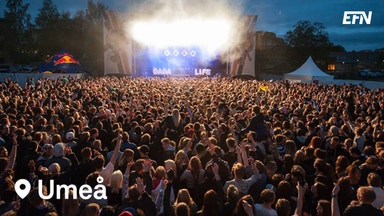 Brännbollsyran är större än någonsin