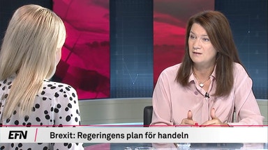 Ann Linde: "Vi vill att britterna ska få så bra villkor som möjligt"