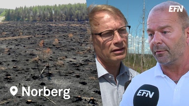 Nej till nyförsäkring av skog