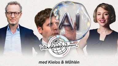 58. Skjut oss inte! Men AI-bubblan behöver spricka