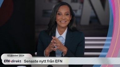 Orkanen Milton slår mot Florida – så påverkas amerikansk ekonomi