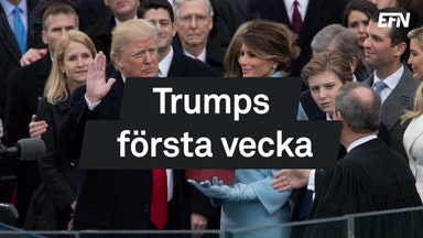 Sju dagar med Trump