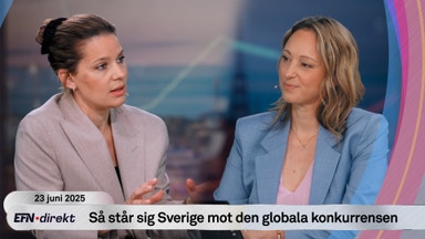 AI-experten: ”Hastigheten är vallgraven”