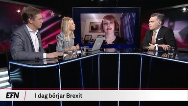 Brexit: ”Ökar oron får pundet ta smällen”