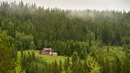 Lågprisdiket borta – nu ökar priset på skogsfastigheter