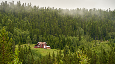 Lågprisdiket borta – nu ökar priset på skogsfastigheter