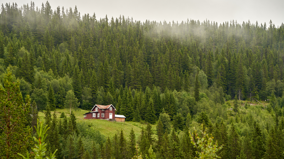 Ett rött hus med vita knutar omringat av en grön barrskog