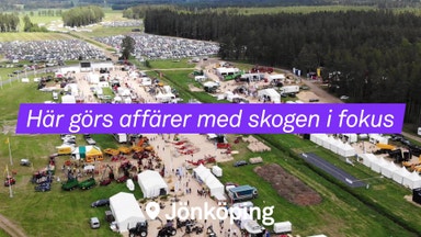 ”Världens bästa mötesplats i skogen”
