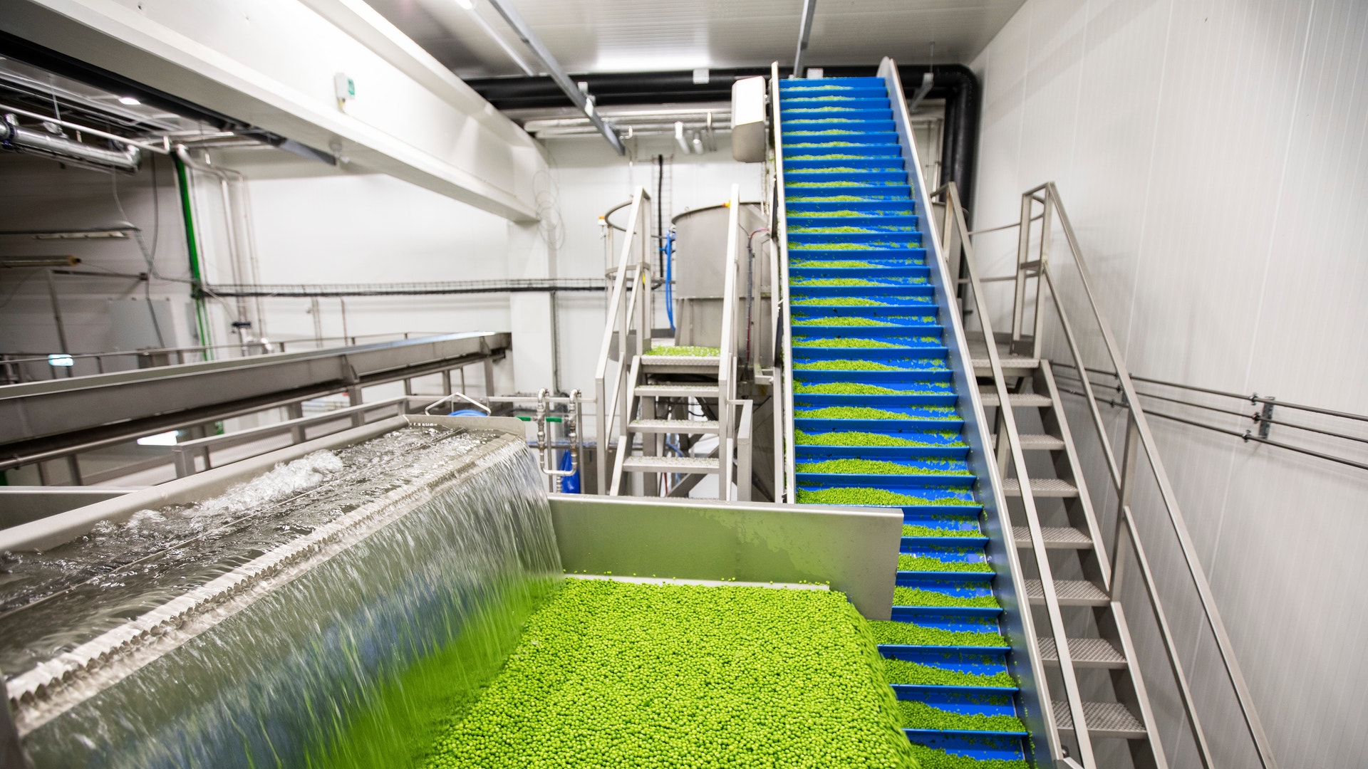 Industriell anläggning för algodling med stora gröna odlingsbehållare och blå transportband