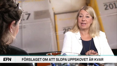 ”Inget stärker viljan att spara”