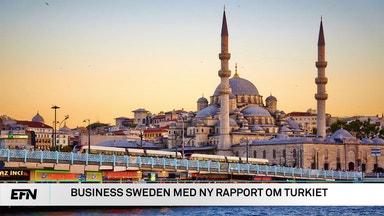 Svenska företag positiva till Turkiet