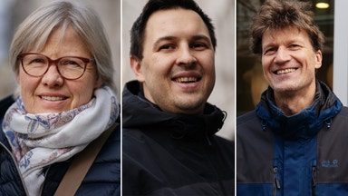 Så tänker tyska väljarna i valet