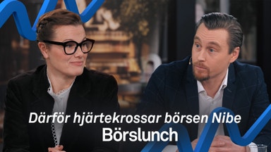 Förvaltarnas darlings i rapportfloden