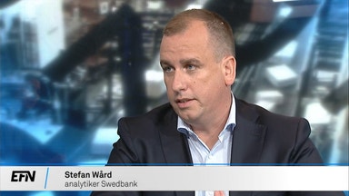 Analytiker: ”Zalando borde gasa på”