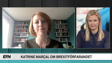 Hur ska Brexit gå till?