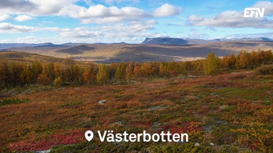 Fortsatt stöd till småbutiker