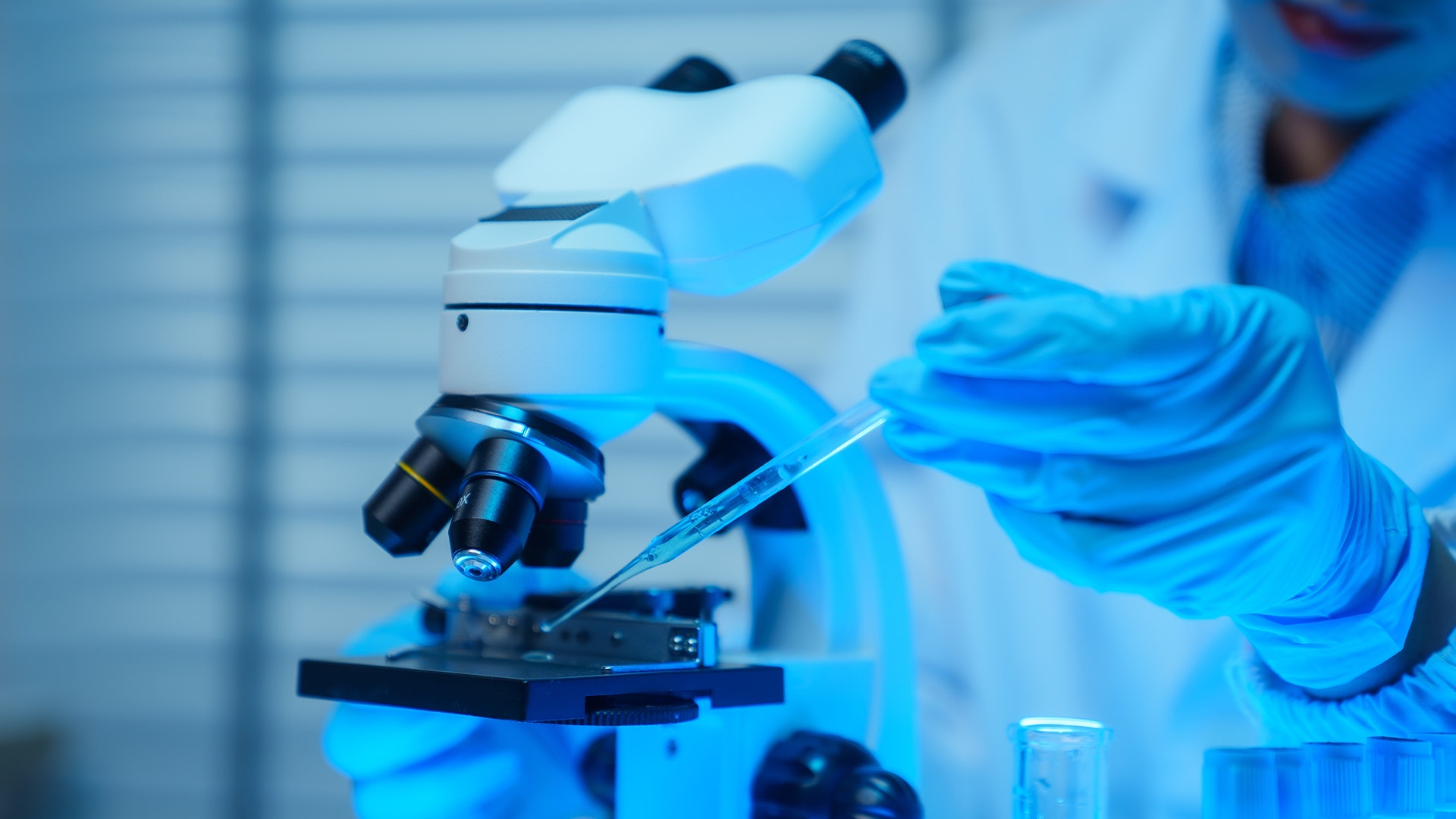 Laboratoriearbete med ett mikroskop. En person i blå handskar håller en pipett och förbereder ett prov för analys.