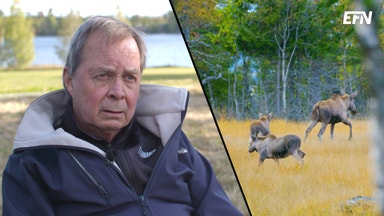 Karl Hedin går emot storbolagen: ”De får ju göra som de vill”