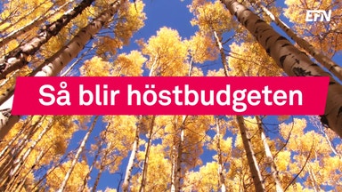 Så vill regeringen fördela miljarderna