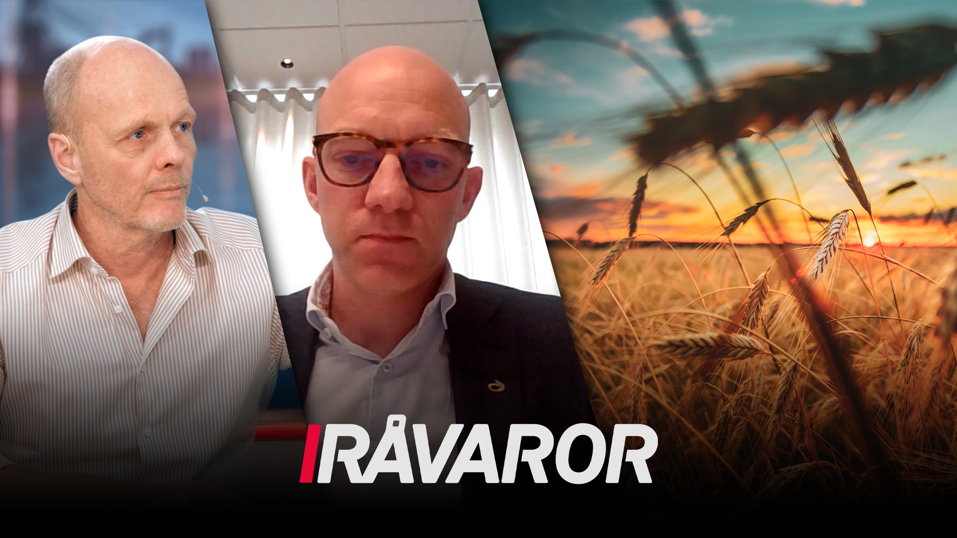 Två män och ett vetfält vid solnedgång med texten Råvaror