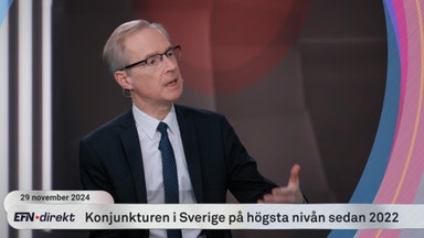 Ekonomen: ”Glad åt en politisk kris i Tyskland”