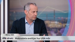 Chefsekonom om makrodatan: ”Finns en tystnadskultur”