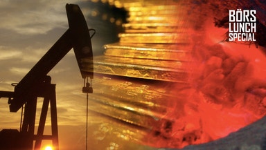 ”Vi prisar in en mörk framtid”