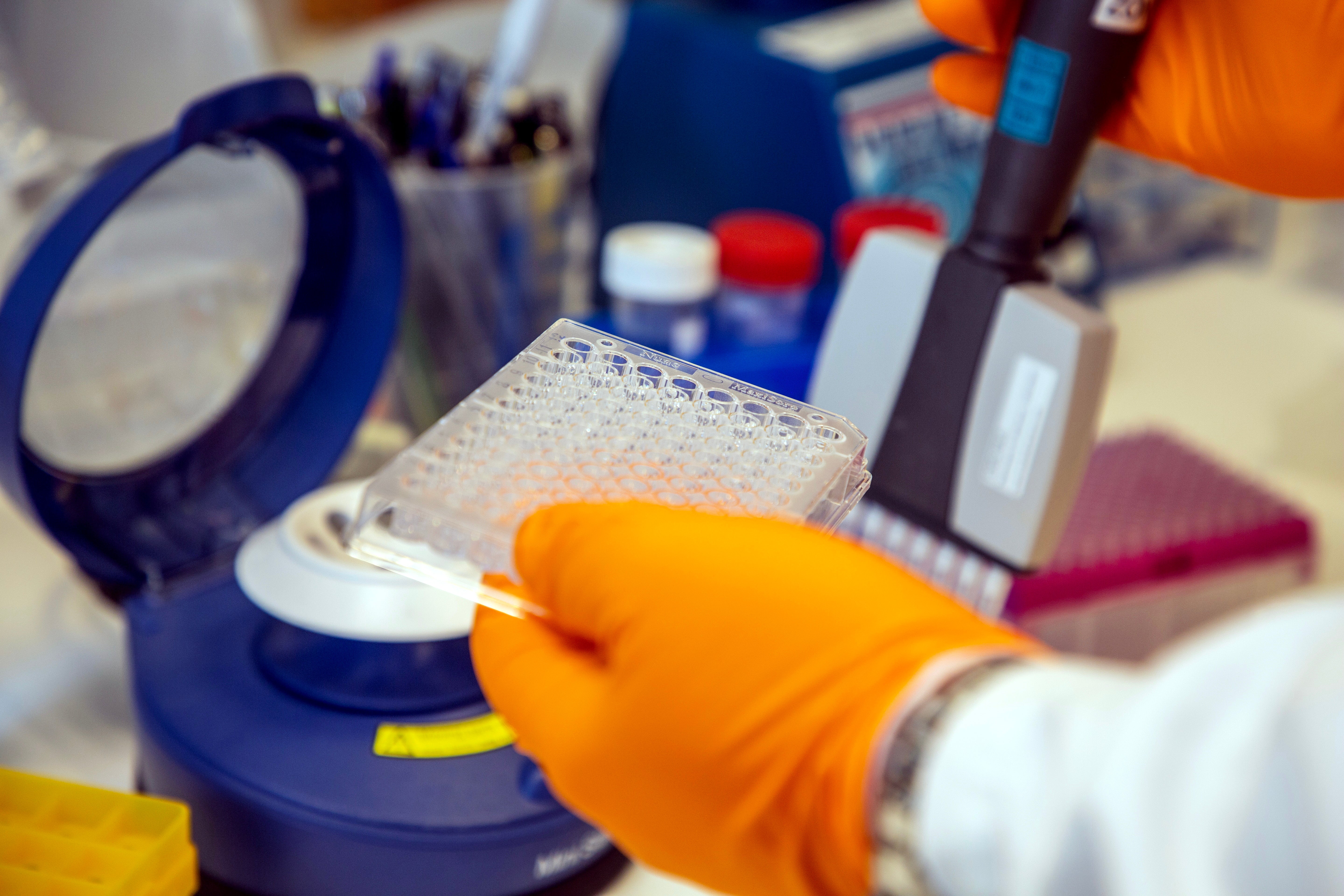 Person i orangea handskar arbetar med vetenskaplig utrustning och prover i ett laboratorium.