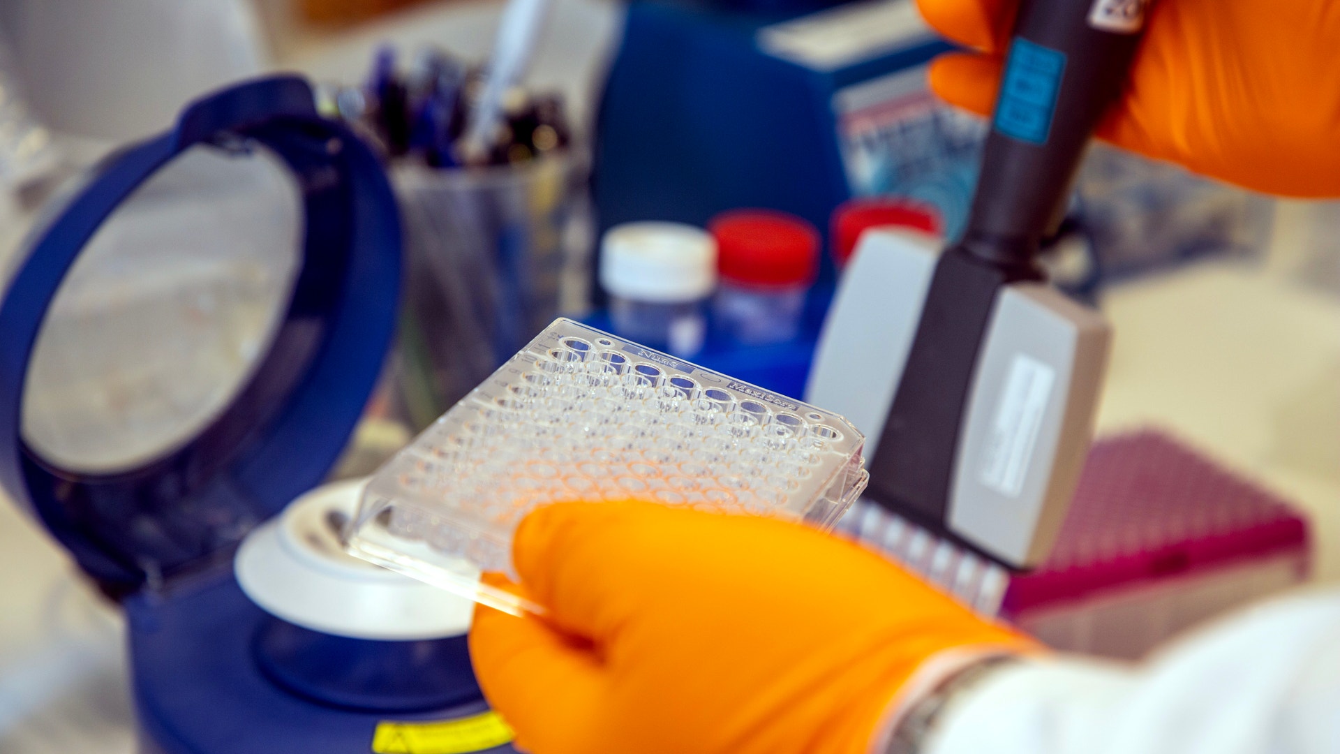 Person i orangea handskar arbetar med vetenskaplig utrustning och prover i ett laboratorium.